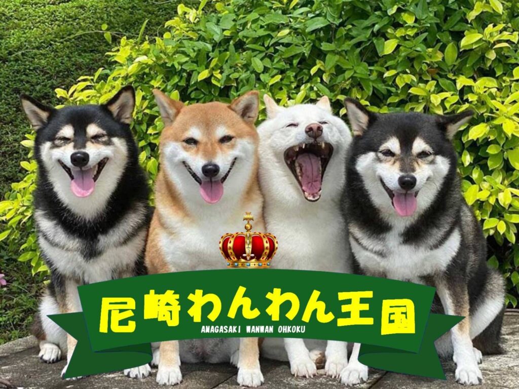 レッドドラゴン尼崎店のイベント告知画像
